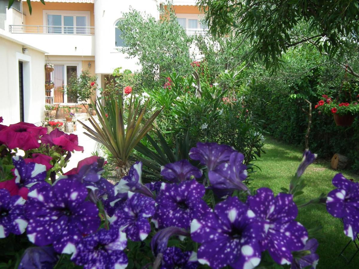 Apartments Jadranka Привлака Екстер'єр фото